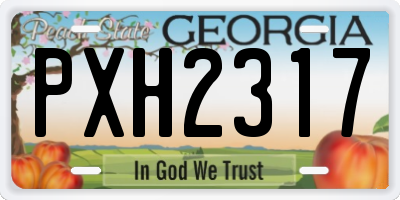 GA license plate PXH2317