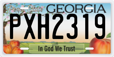 GA license plate PXH2319