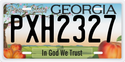 GA license plate PXH2327