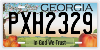 GA license plate PXH2329