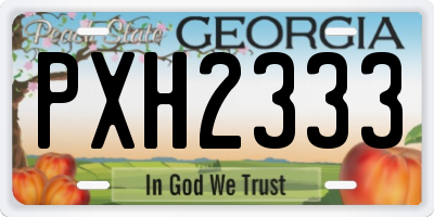 GA license plate PXH2333