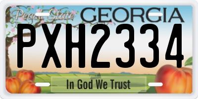 GA license plate PXH2334