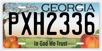 GA license plate PXH2336