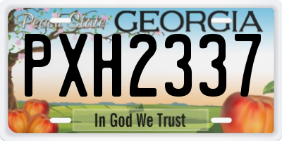 GA license plate PXH2337