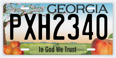 GA license plate PXH2340