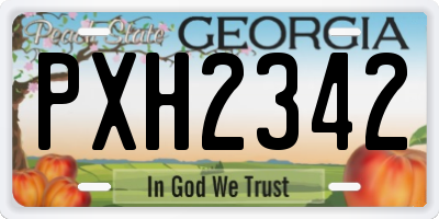 GA license plate PXH2342