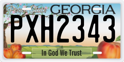 GA license plate PXH2343