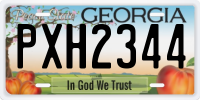 GA license plate PXH2344