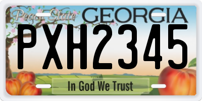 GA license plate PXH2345
