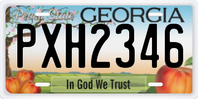 GA license plate PXH2346