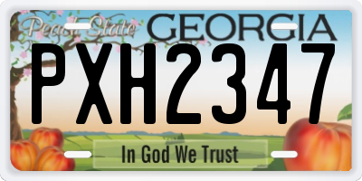 GA license plate PXH2347
