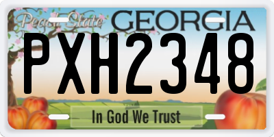GA license plate PXH2348