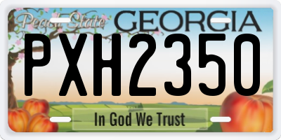 GA license plate PXH2350