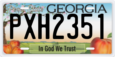 GA license plate PXH2351