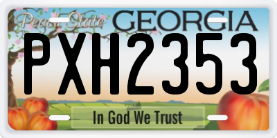 GA license plate PXH2353