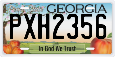 GA license plate PXH2356