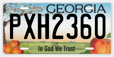 GA license plate PXH2360