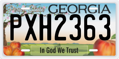 GA license plate PXH2363