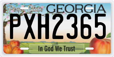 GA license plate PXH2365