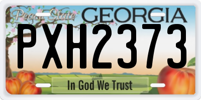 GA license plate PXH2373