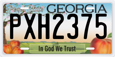 GA license plate PXH2375