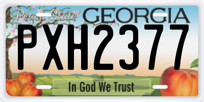 GA license plate PXH2377