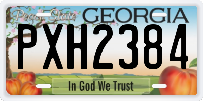 GA license plate PXH2384