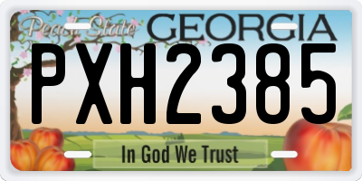 GA license plate PXH2385
