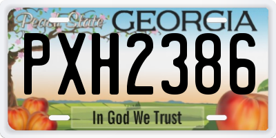 GA license plate PXH2386