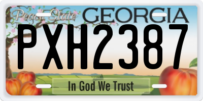 GA license plate PXH2387