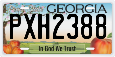 GA license plate PXH2388