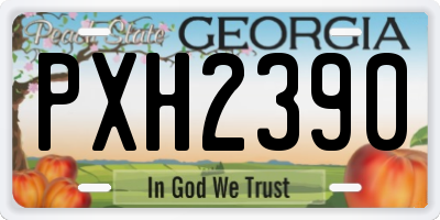 GA license plate PXH2390