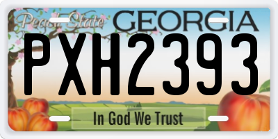 GA license plate PXH2393
