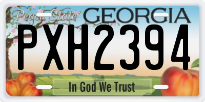 GA license plate PXH2394