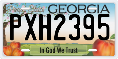 GA license plate PXH2395