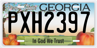 GA license plate PXH2397
