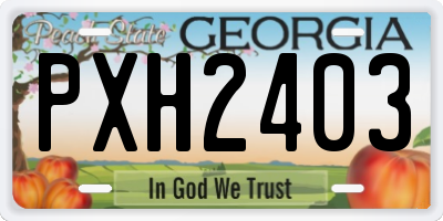 GA license plate PXH2403
