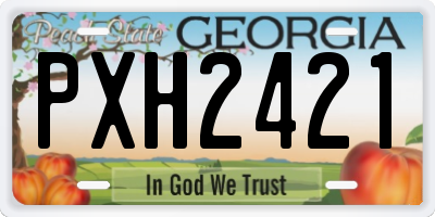 GA license plate PXH2421