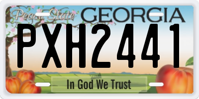 GA license plate PXH2441