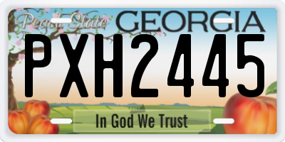 GA license plate PXH2445