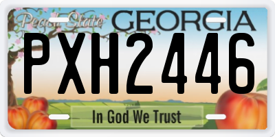 GA license plate PXH2446