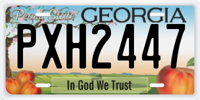 GA license plate PXH2447
