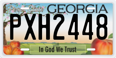 GA license plate PXH2448
