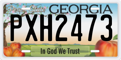 GA license plate PXH2473