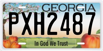 GA license plate PXH2487
