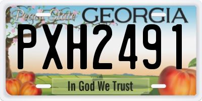 GA license plate PXH2491