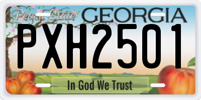 GA license plate PXH2501