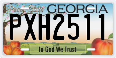 GA license plate PXH2511