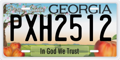 GA license plate PXH2512