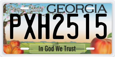 GA license plate PXH2515